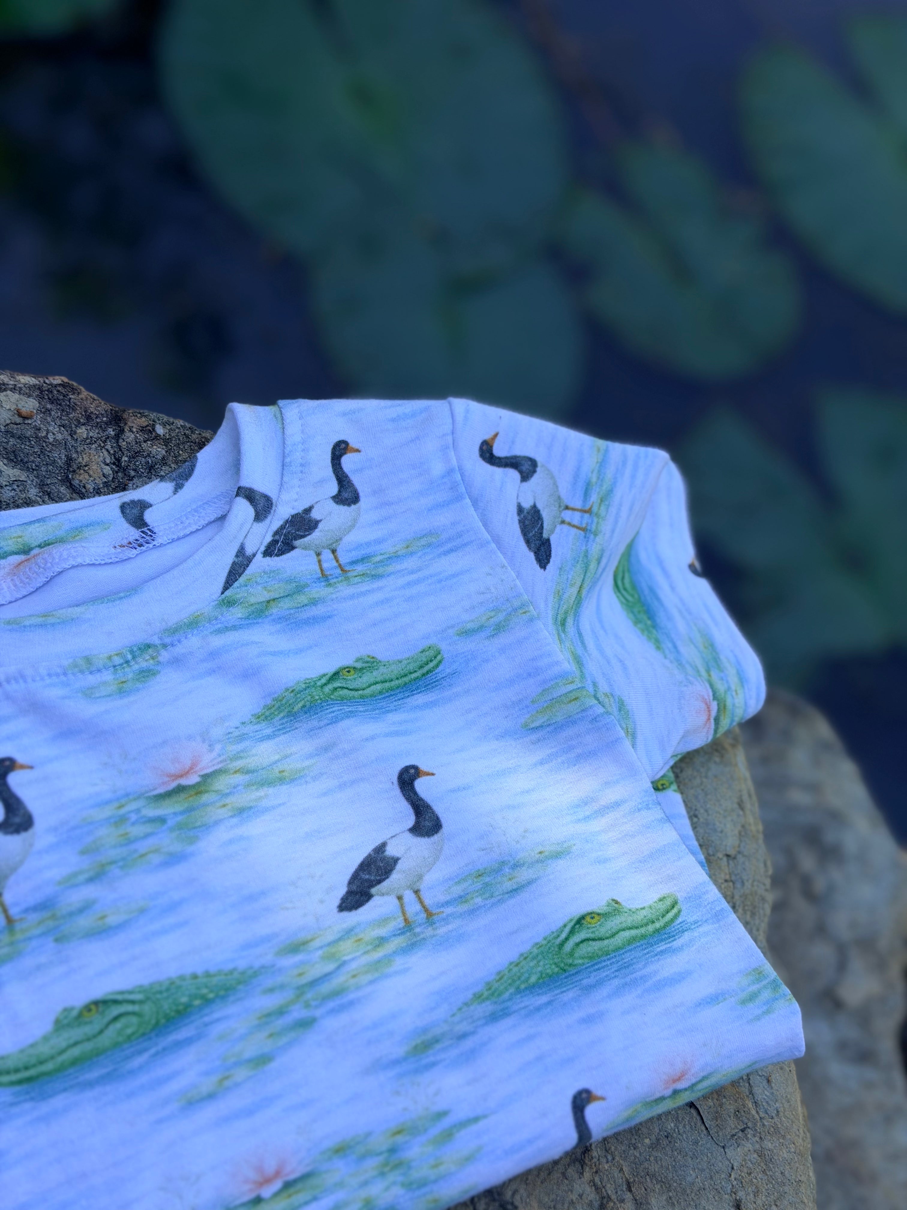 Wetland Wonders
