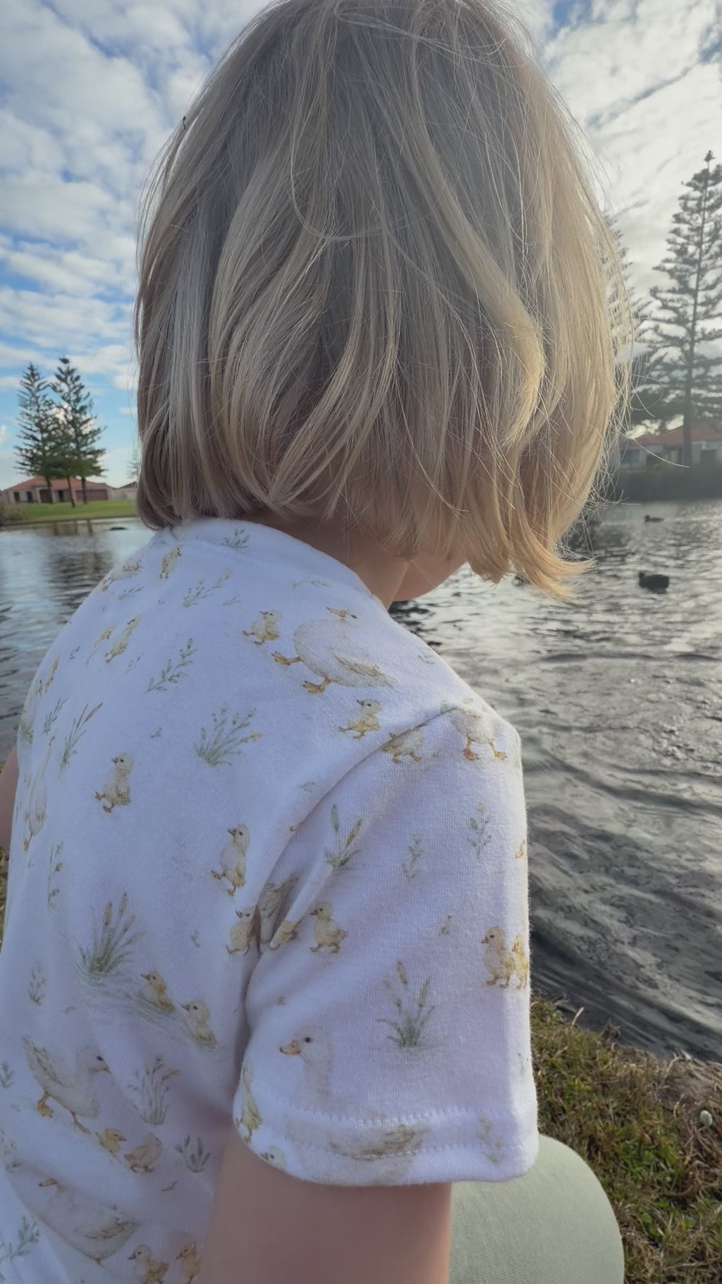 Puddle Ducks