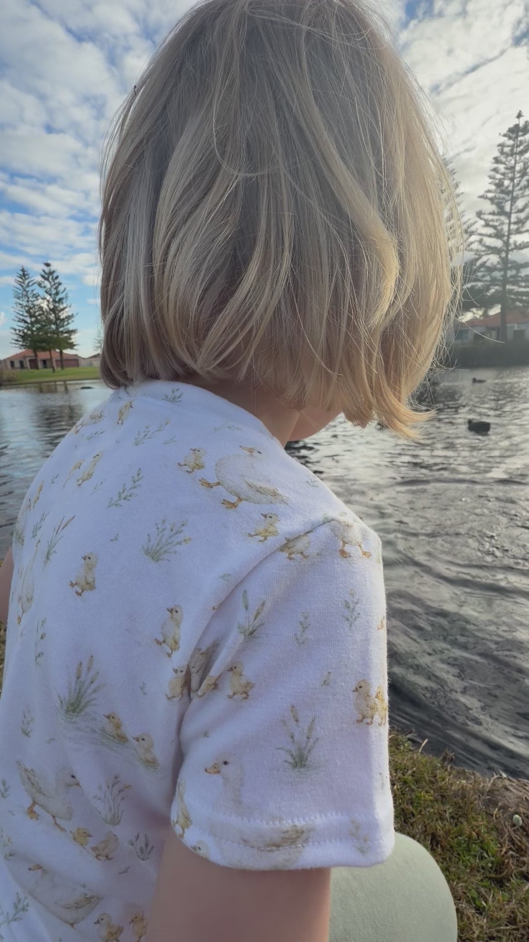 Puddle Ducks