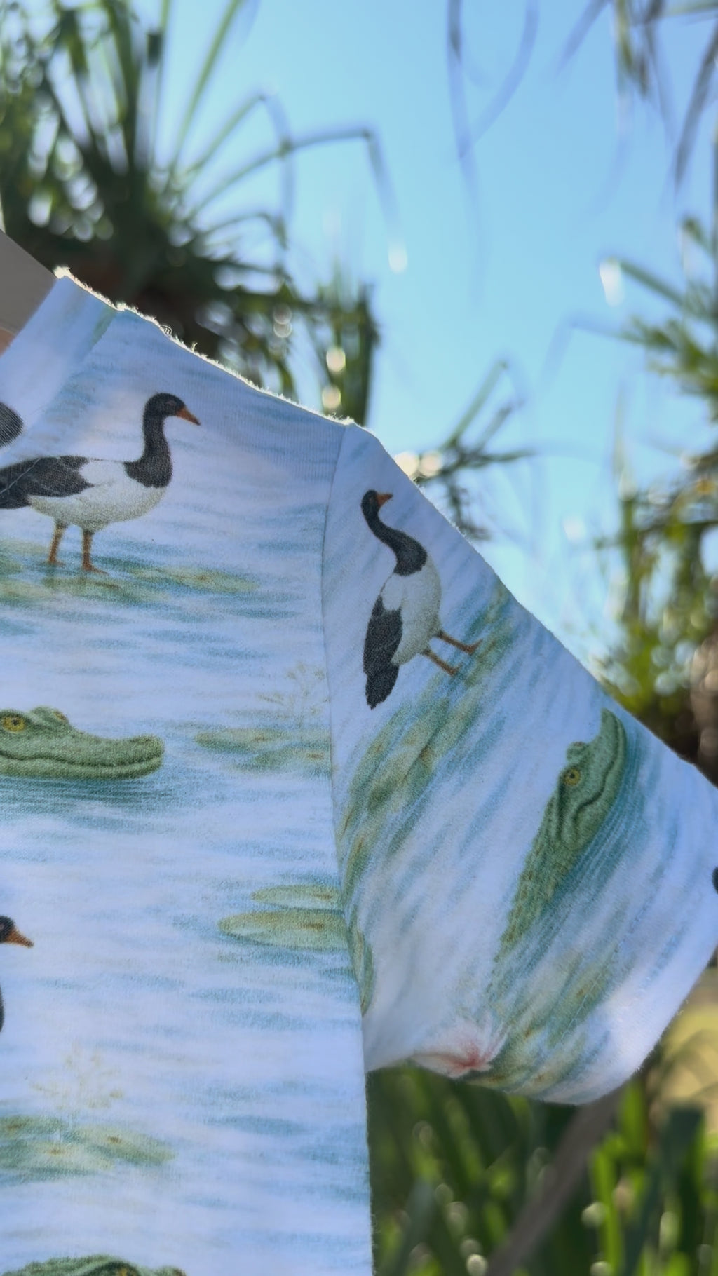 Wetland Wonders - Kiddo